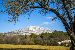 Sainte Victoire cr+®dit Sophie Spiteri (2)