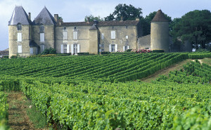 Château Yquem, Sauternes. Vignoble de Bordeaux, Gironde (33).