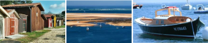 Passeio de Barco em Arcachon