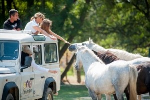 camargue-autrement-1359714231-27768