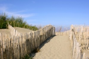 l-espiguette-plage-1269598861-28080