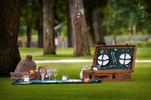 pic-nic