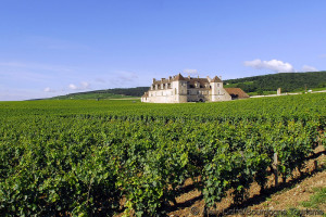 cote-de-nuits-clos-vougeot_photo-alain-doire_bourgogne-tourisme